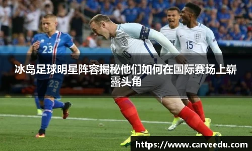 冰岛足球明星阵容揭秘他们如何在国际赛场上崭露头角