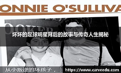 坏坏的足球明星背后的故事与传奇人生揭秘