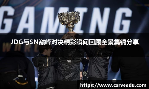 JDG与SN巅峰对决精彩瞬间回顾全景集锦分享