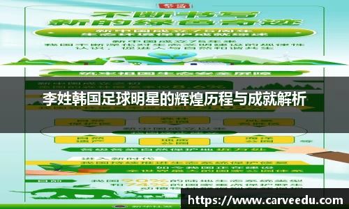 李姓韩国足球明星的辉煌历程与成就解析